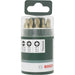 Bosch 10-delni set titanijumskih bitova (2609255978) Set bitova BOSCH BOSCH-2609255978 Madras doo Beograd