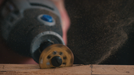 BOSCH Cutting/Shaping Wheel 25,4 mm (542) - Točak za sečenje/oblikov. od 25,4mm(542) (2615054265) Madras doo Beograd Madras doo Beograd