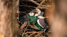 BOSCH EasyChain 18V-15-7 - Lančana testera Pruner Saw (06008B8901) Madras doo Beograd Madras doo Beograd