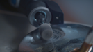 BOSCH Impregnated Polishing Wheel (520) - Impregnirani točak za poliranje (520) (2615052065) Madras doo Beograd Madras doo Beograd