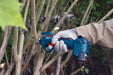 Bosch Pro Pruner 12V Akumulatorske makaze za orezivanje grana 2x3.0Ah (06019K1021) Aku makaze za orezivanje BOSCH Madras doo Beograd