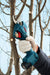 Bosch Pro Pruner 12V Akumulatorske makaze za orezivanje grana 2x3.0Ah (06019K1021) Aku makaze za orezivanje BOSCH Madras doo Beograd