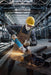 BOSCH Ugaona brusilica GWS 27-230 JR (06018C7320) Madras doo Beograd Madras doo Beograd
