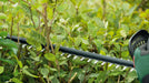 BOSCH UniversalHedgeCut 18V-50 - Makaze za žbunje UniversalHedgeCut 18 (0600849k01) Aku makaze za živu ogradu BOSCH Madras doo Beograd