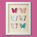 G.B.Wall art 1/1 30*40 Tapete Graham & Brown Madras doo Beograd