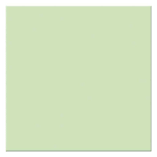MINT ZELENA MAT 20x20 (TUB-125) Pločice Tubadžin Madras doo Beograd