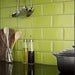 PISTACHO biselado brillo 10x20 32505 (Z) (CVA-008) Pločice Ceramica Vilar Albaro Madras doo Beograd
