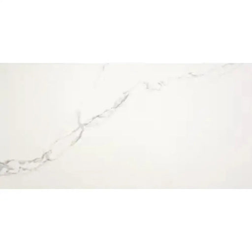 PUNE BLANCO 60X120 1.43m2 ALP40 Podne/Zidne pločice ALAPLANA Madras doo Beograd